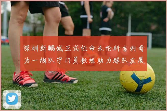 深圳新鹏城正式任命米伦科吉利奇为一线队守门员教练助力球队发展