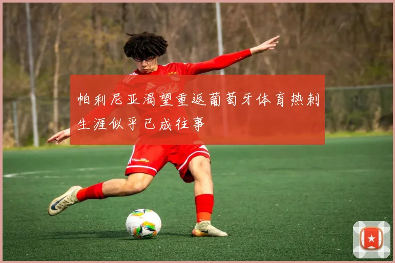 帕利尼亚渴望重返葡萄牙体育热刺生涯似乎已成往事
