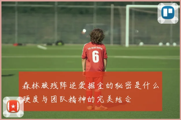 森林狼残阵逆袭掘金的秘密是什么硬度与团队精神的完美结合