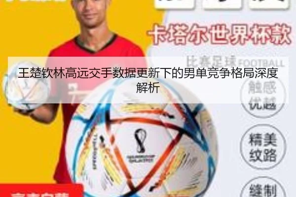 王楚钦林高远交手数据更新下的男单竞争格局深度解析 - OnePlay